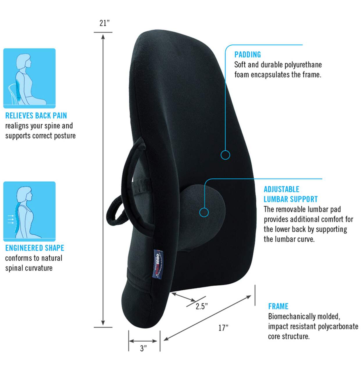 ObusForme Portable Low-Back Backrest Support Cushion with Lumbar Pad For  Office Chair/Home/Car