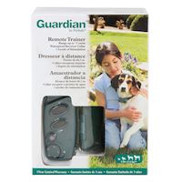 Large Dog Remote Trainer Front_Flat