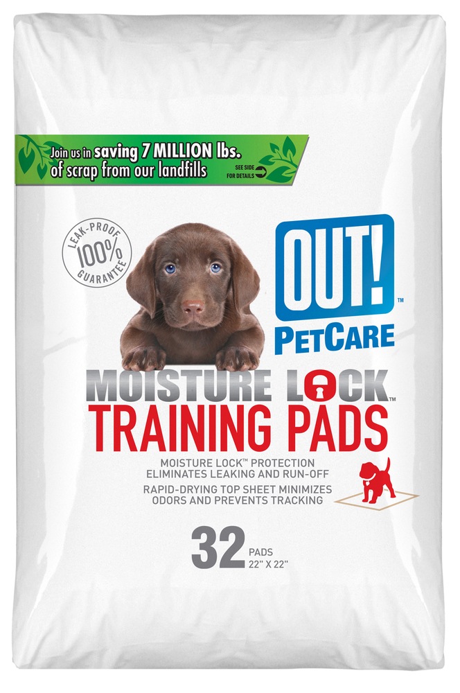 How Do You Attract A Puppy To Pee On A Pad