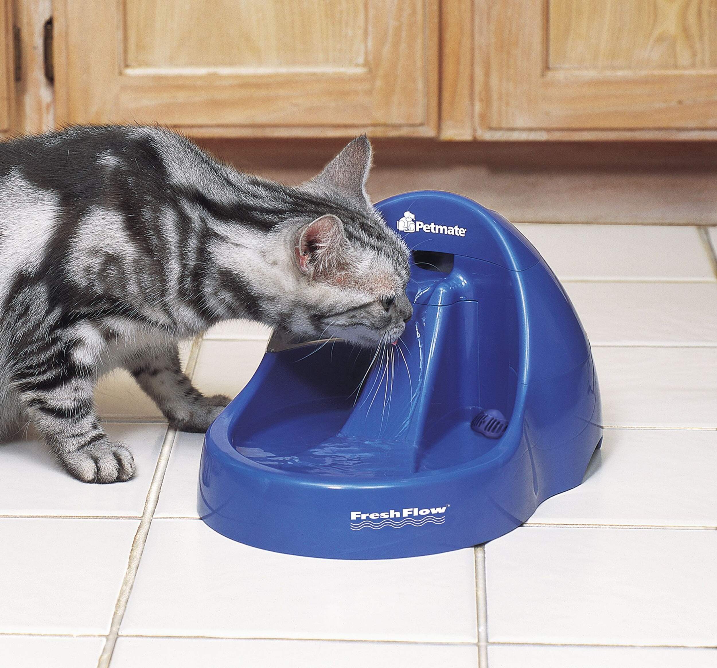 Fresh Flow Waterer Front_Angled_Left