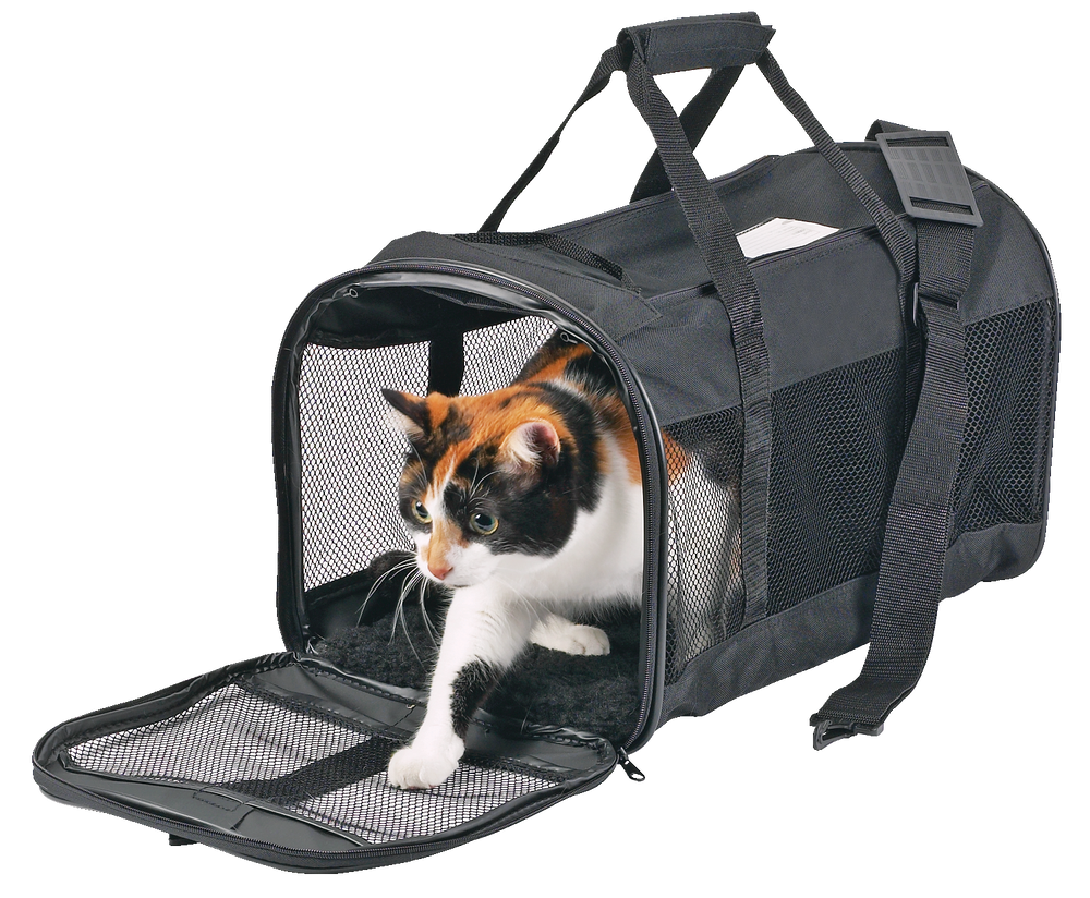 PAWS UP! Pet Taxi Carrier, Soft-Sided, 19-in x 11-in x 11-in | Canadian ...