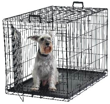 Dog cages deals canadian tire