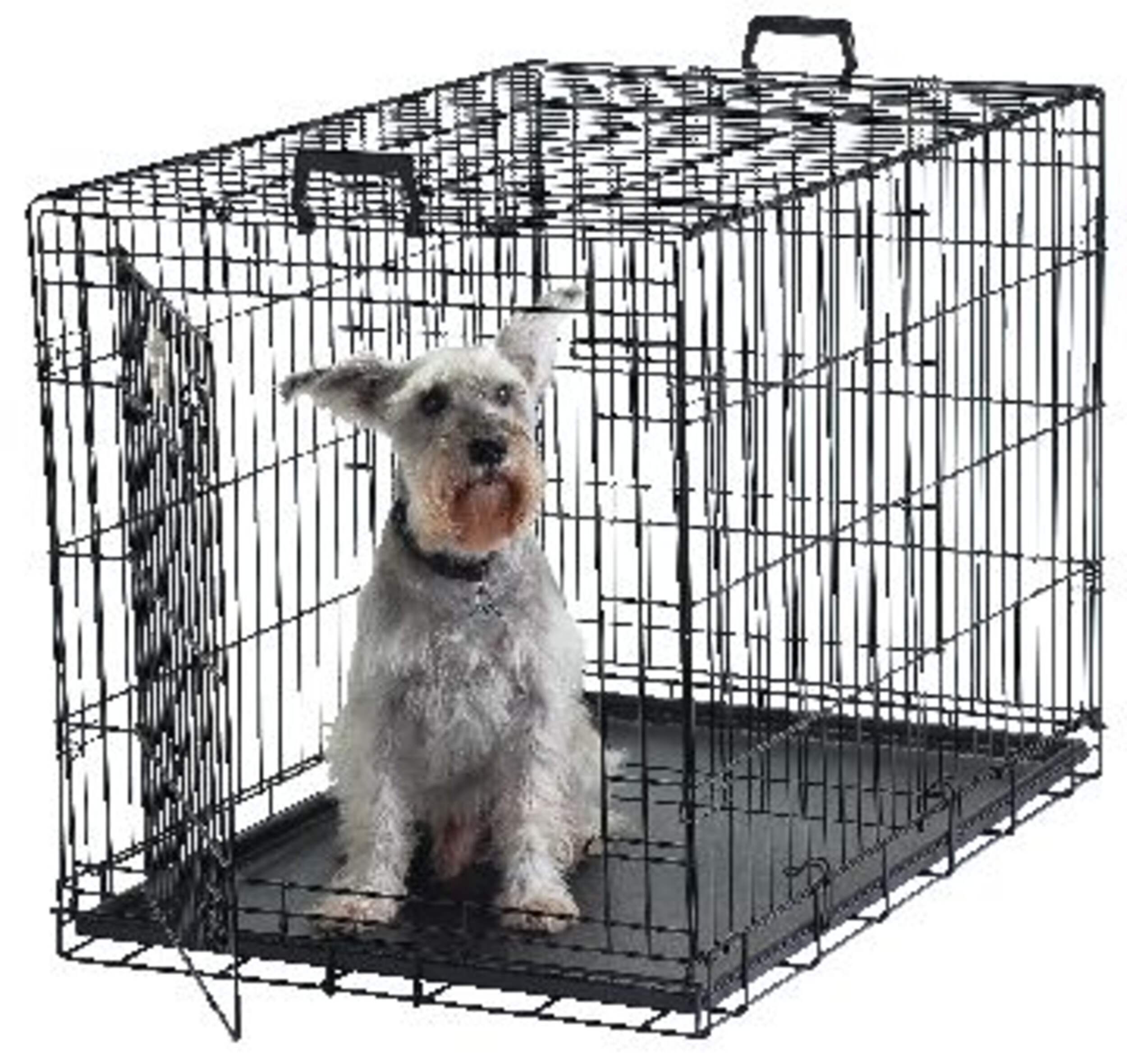Midwest ICrate Folding Dog Wire Crate, Collapsible with Divider Panel