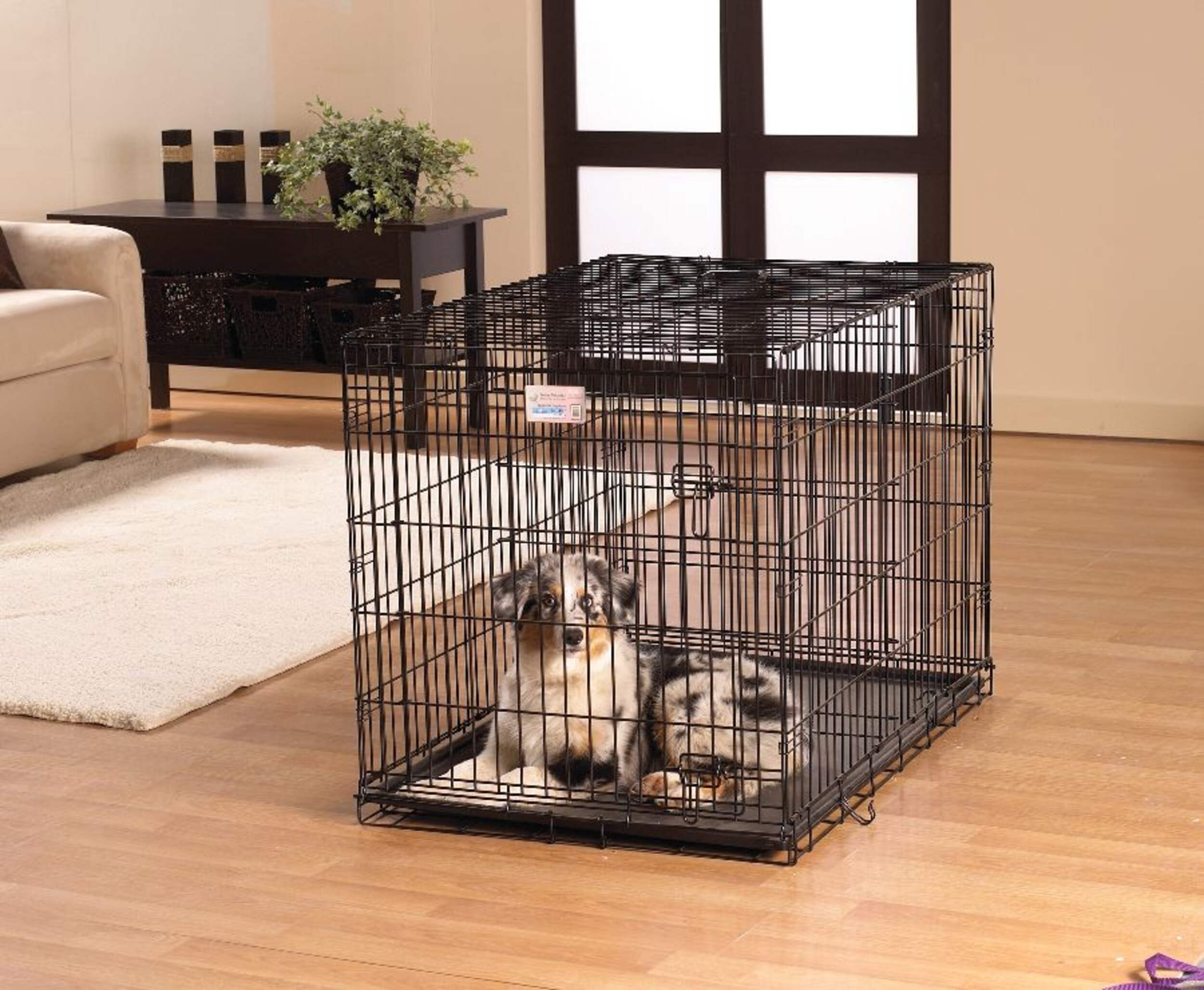 Midwest ICrate Folding Dog Wire Crate, Collapsible with Divider Panel