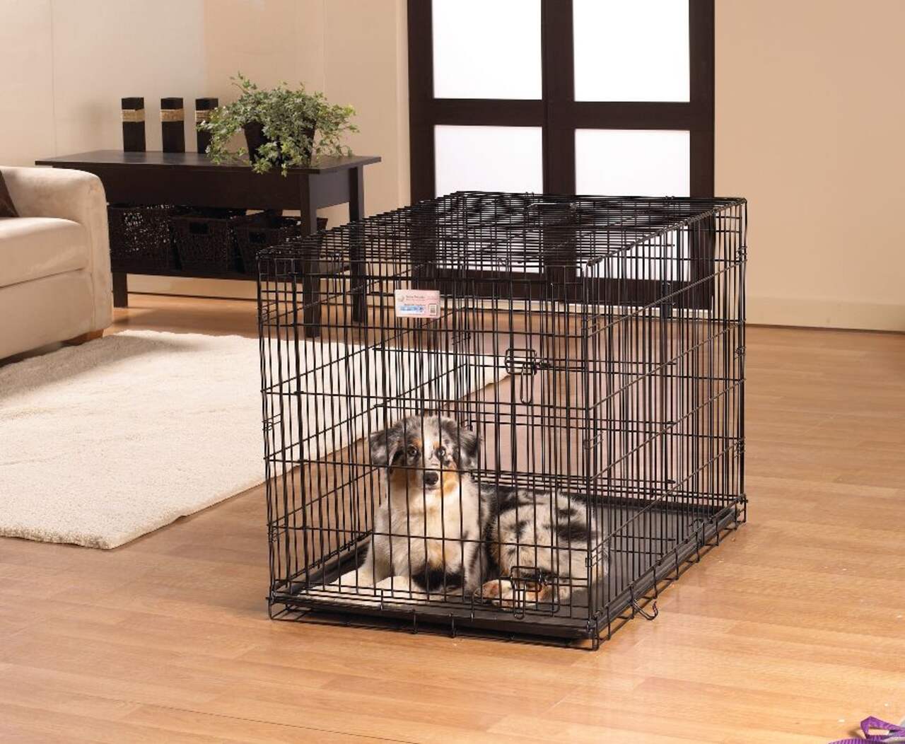 Cage pour chien en bois avec panneau avant en acrylique et porte