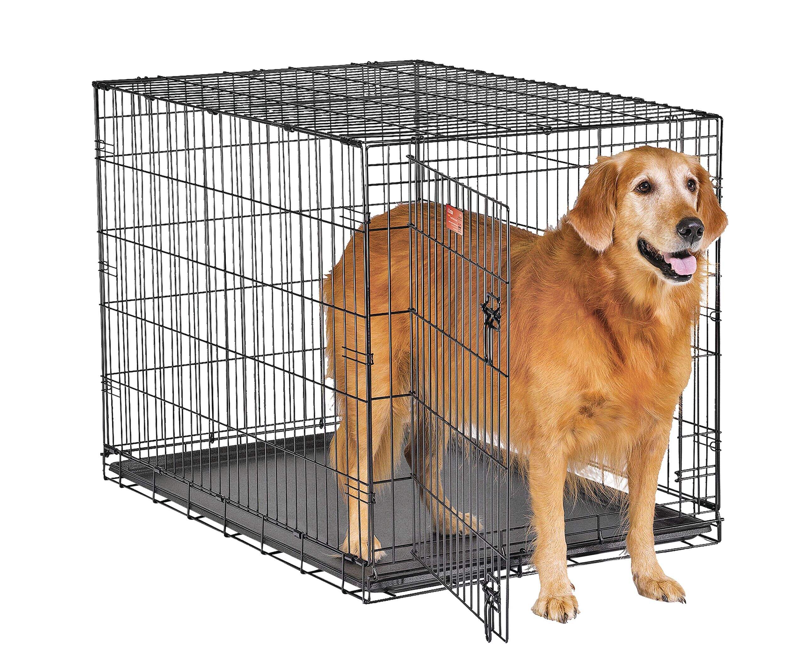 Midwest ICrate Folding Dog Wire Crate, Collapsible with Divider Panel