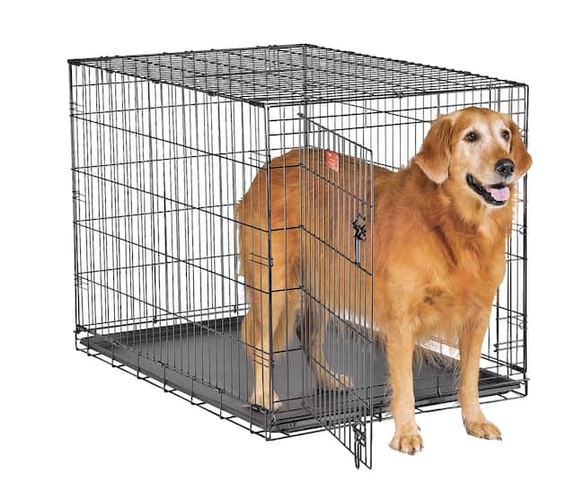 Midwest I-Crate Folding Dog Wire Crate, Collapsible with Divider Panel ...