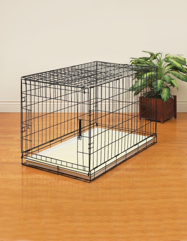 Midwest ICrate Folding Dog Wire Crate, Collapsible with Divider Panel