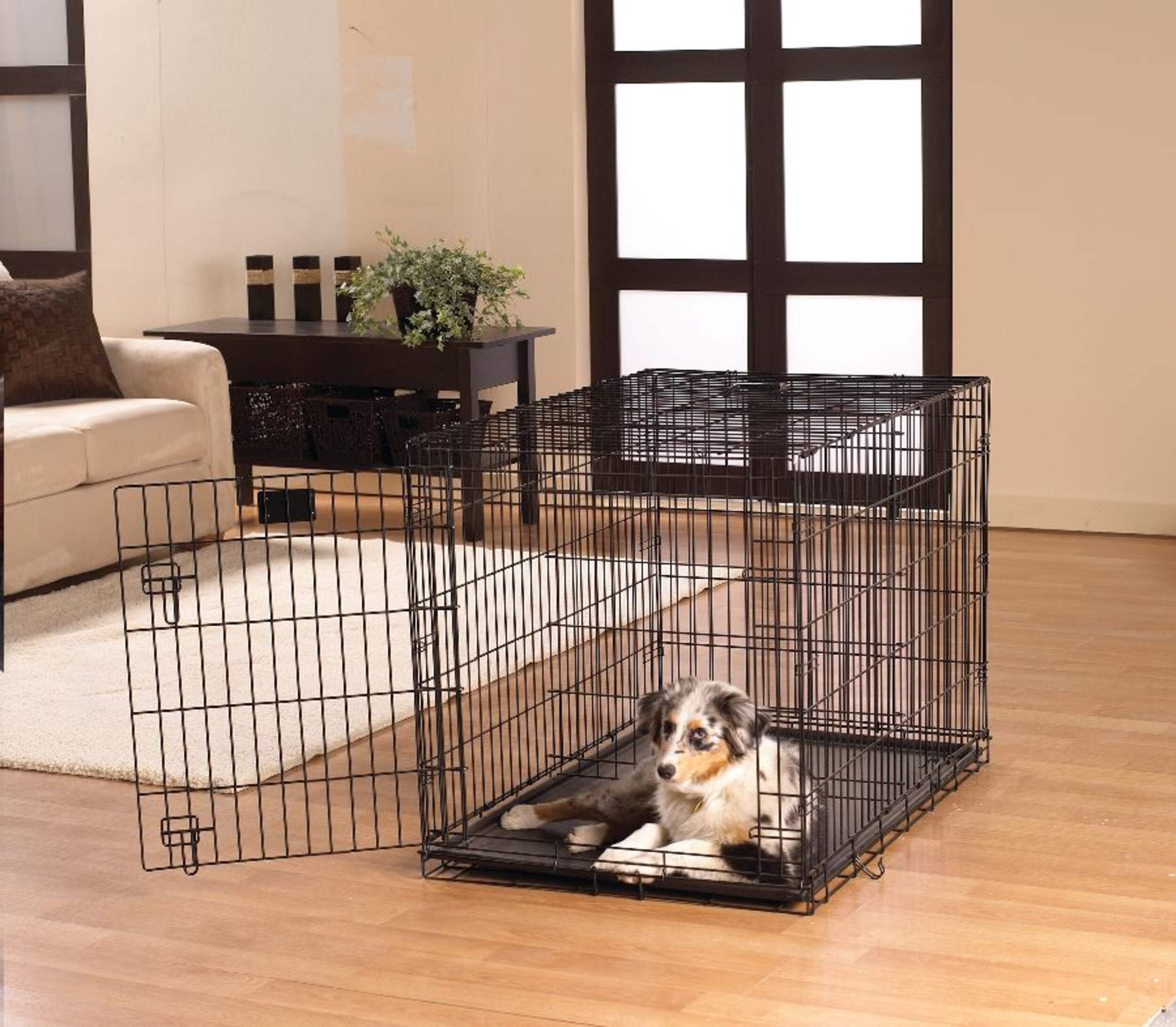 Midwest ICrate Folding Dog Wire Crate, Collapsible with Divider Panel