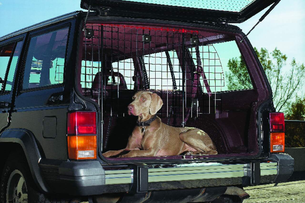 Barrière métallique universelle pour l'auto pour chiens Midwest, hauteur et  largeur réglables, assemblage sans outil