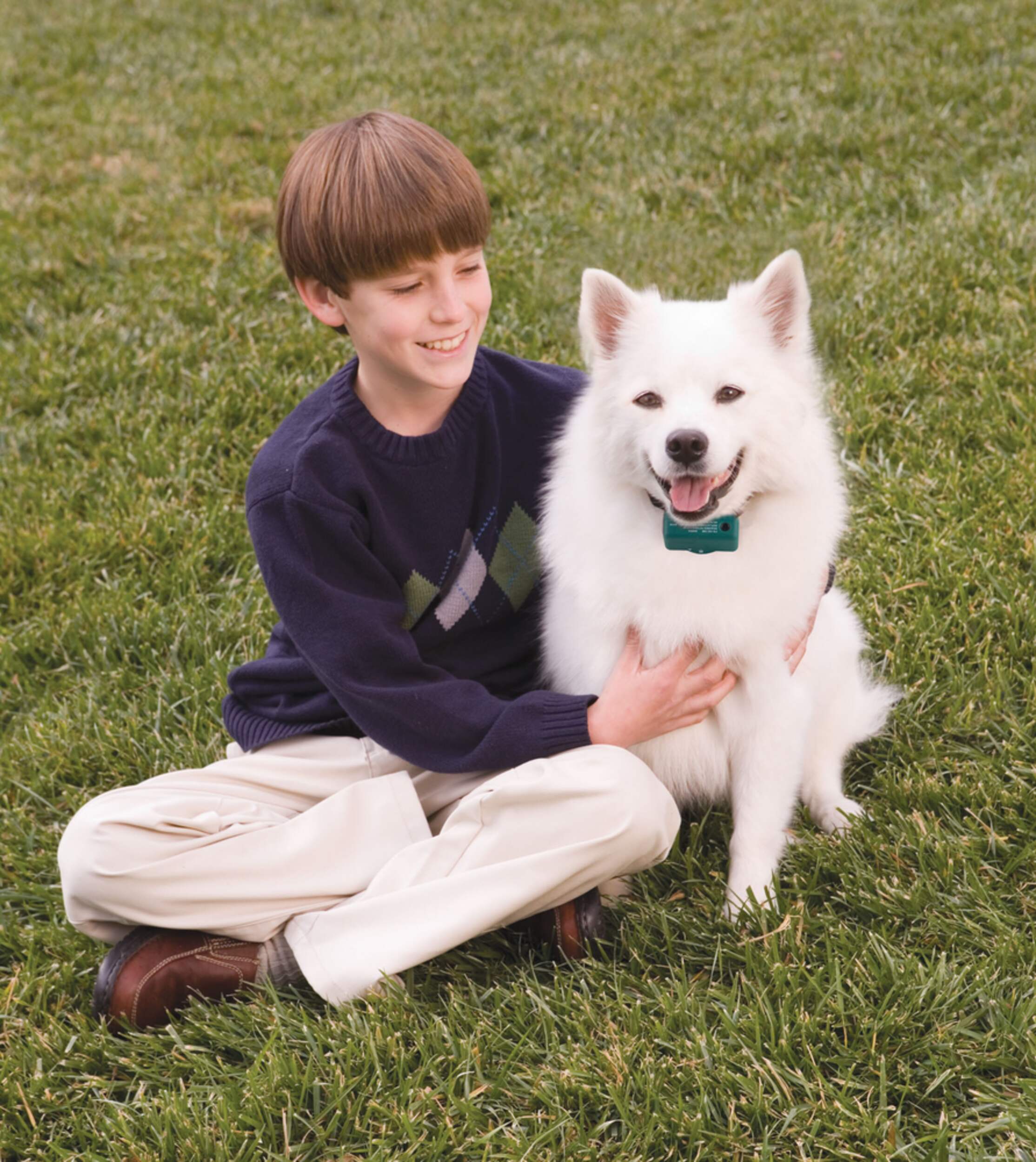 Bark Control Collar Canadian Tire