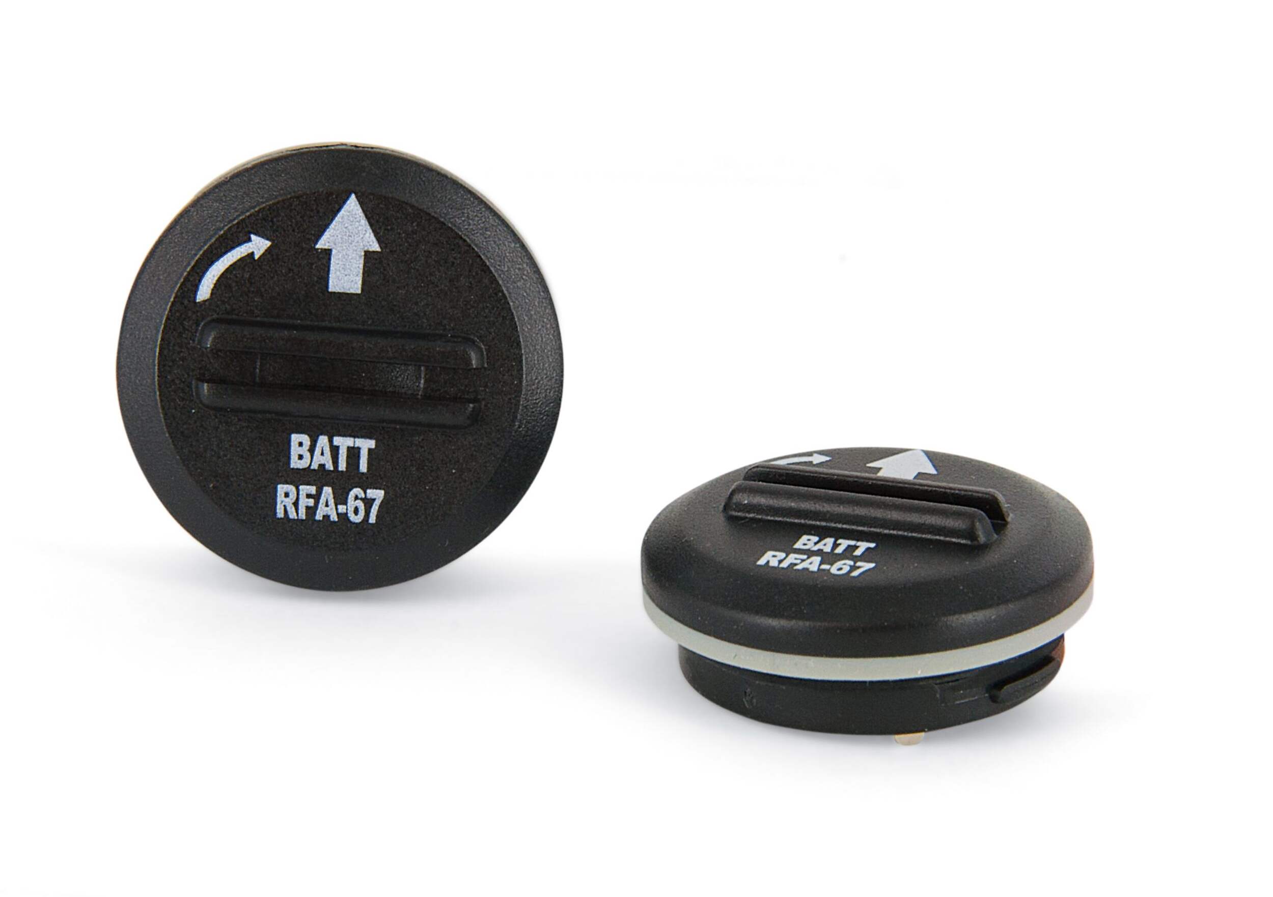 PetSafe 6V Alkaline Replacement Battery, 2-pk Composite_or_Mixed