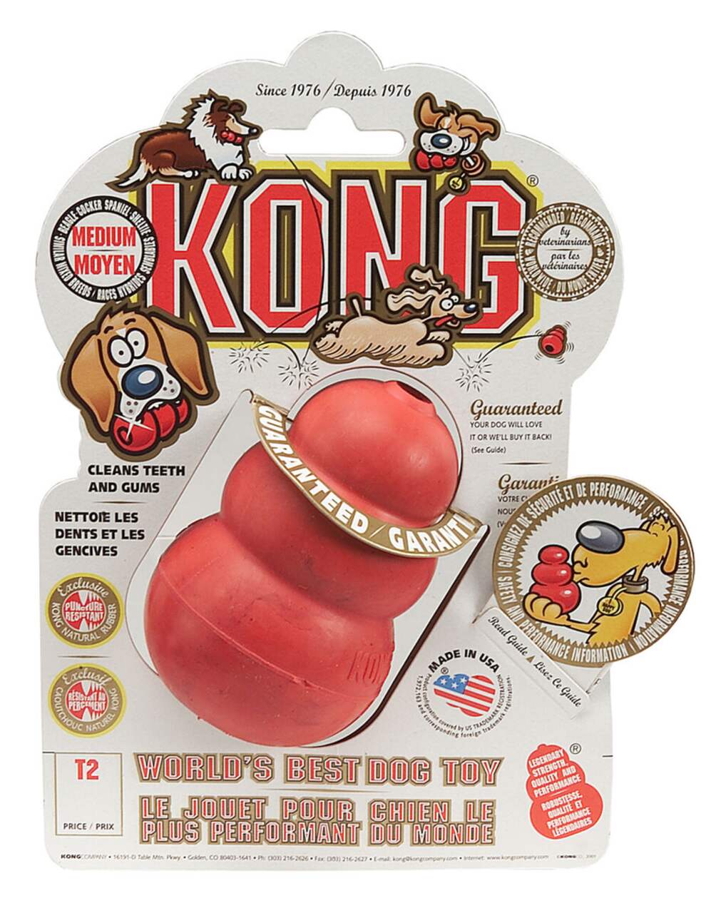 Kong medium size shop