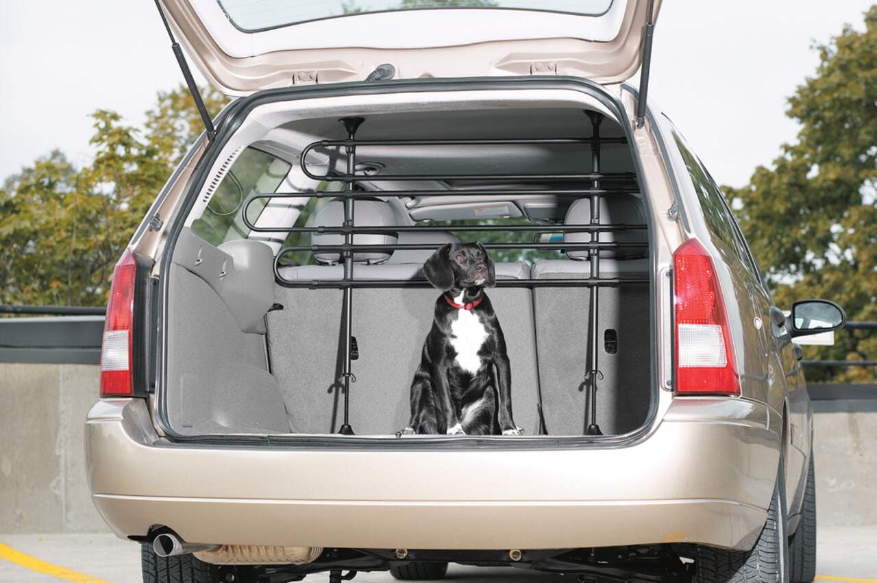 Six Bar Auto Pet Barrier