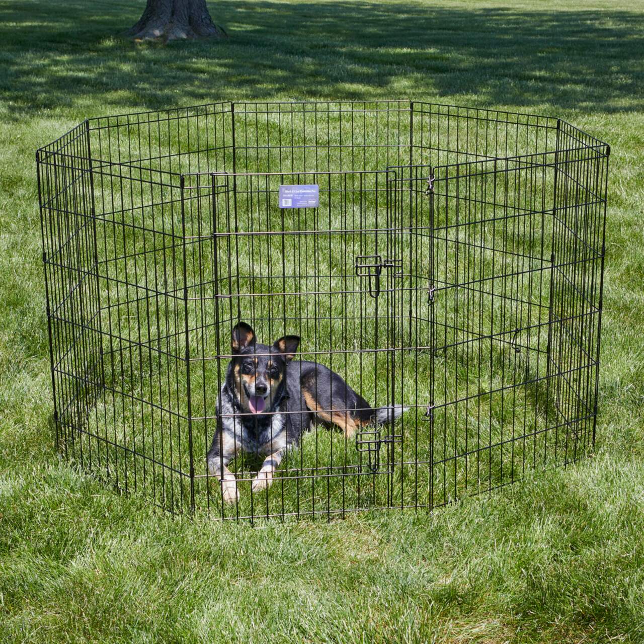 Clôture de parc pour chiens Midwest, pliable, assemblage sans