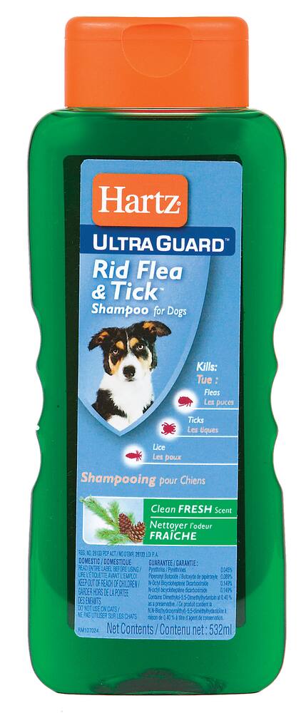 does dog shampoo kill lice