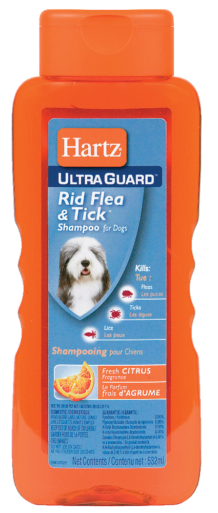 can lice shampoo kill fleas on dogs