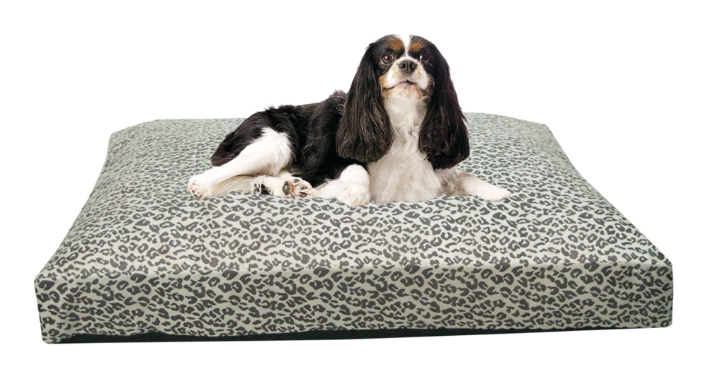 PAWS UP! AntiSlip Pet Pillow, Assorted, 30 x 36 x 4in Canadian Tire