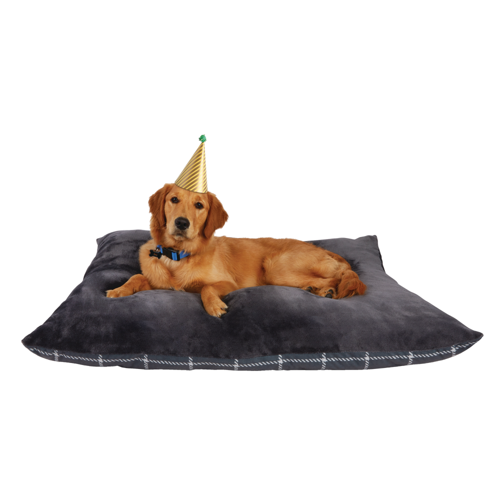 Are Dogs Allowed In Canadian Tire