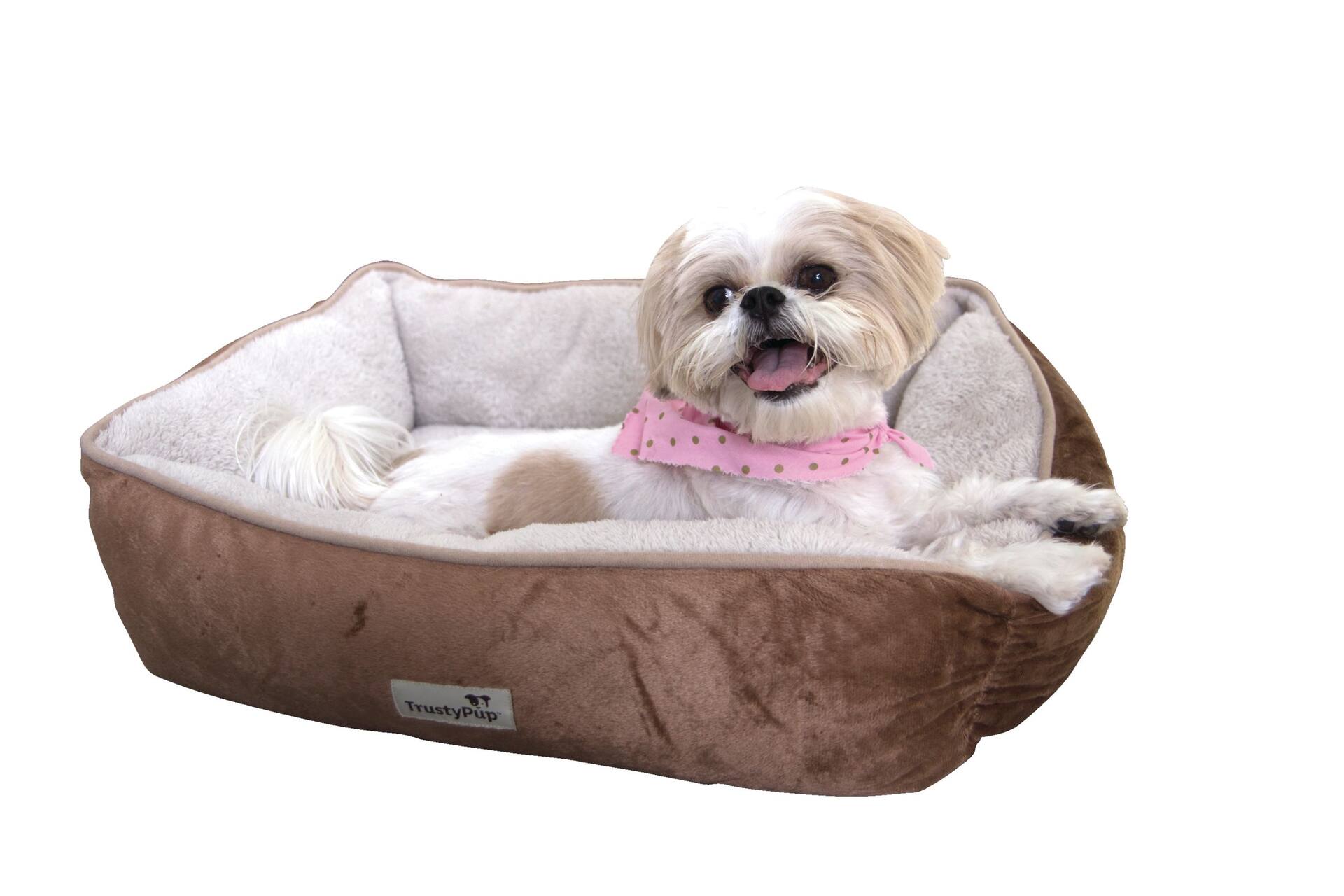 Trusty pet outlet dog bed