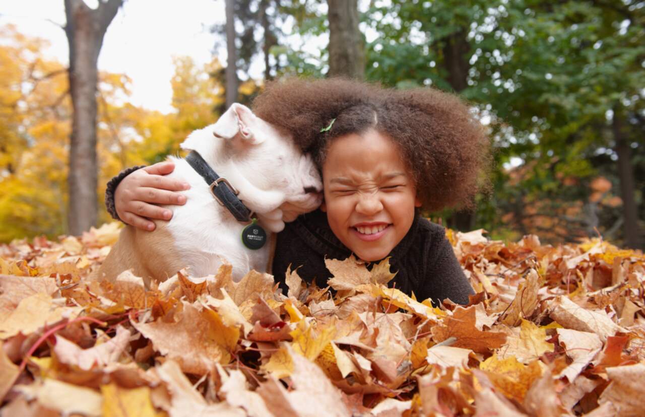 Pawscout Smart Bluetooth Pet Tag and Tracker Includes Battery