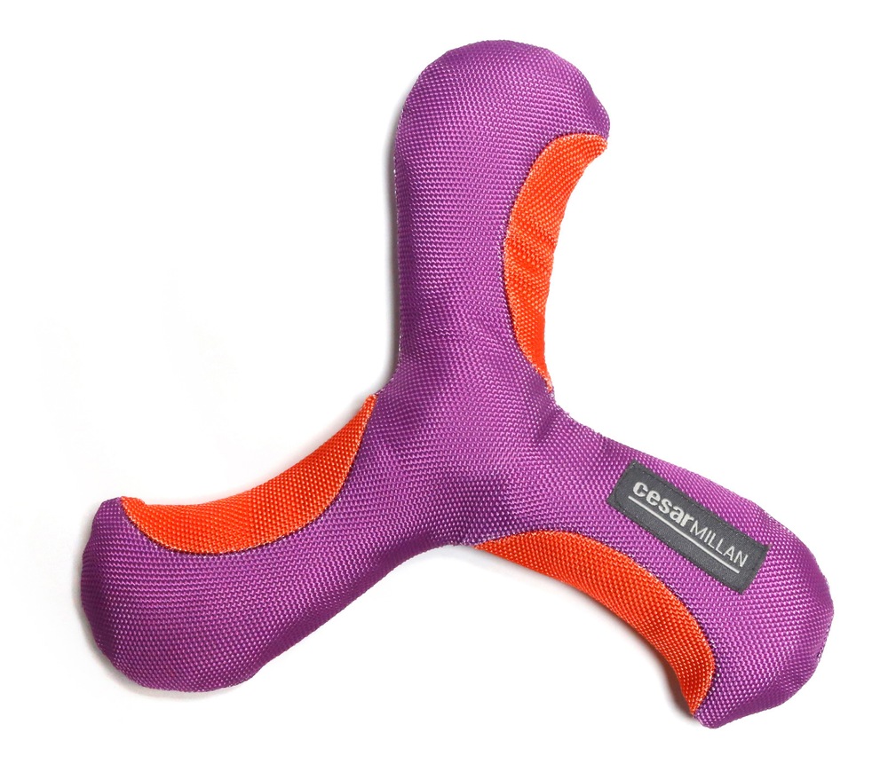 Cesar Millan Positive Propeller Dog Toy Canadian Tire