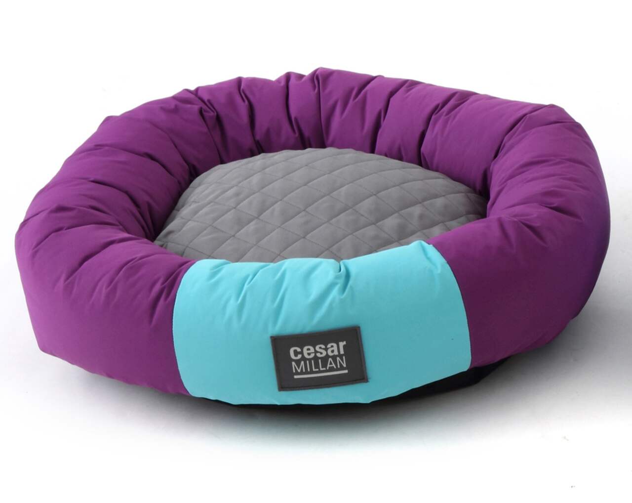 Cesar millan deals dog bed