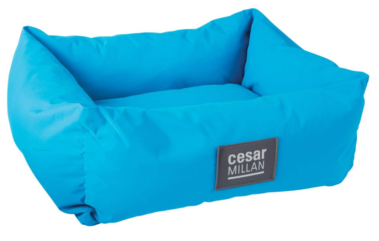 Cesar millan dog bed store