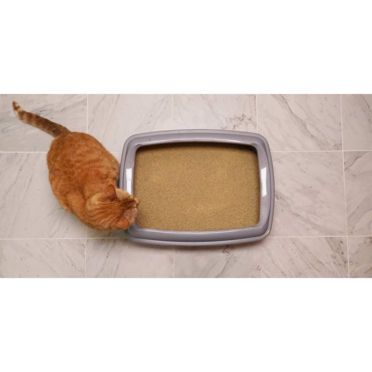 Canadian tire world's sales best cat litter