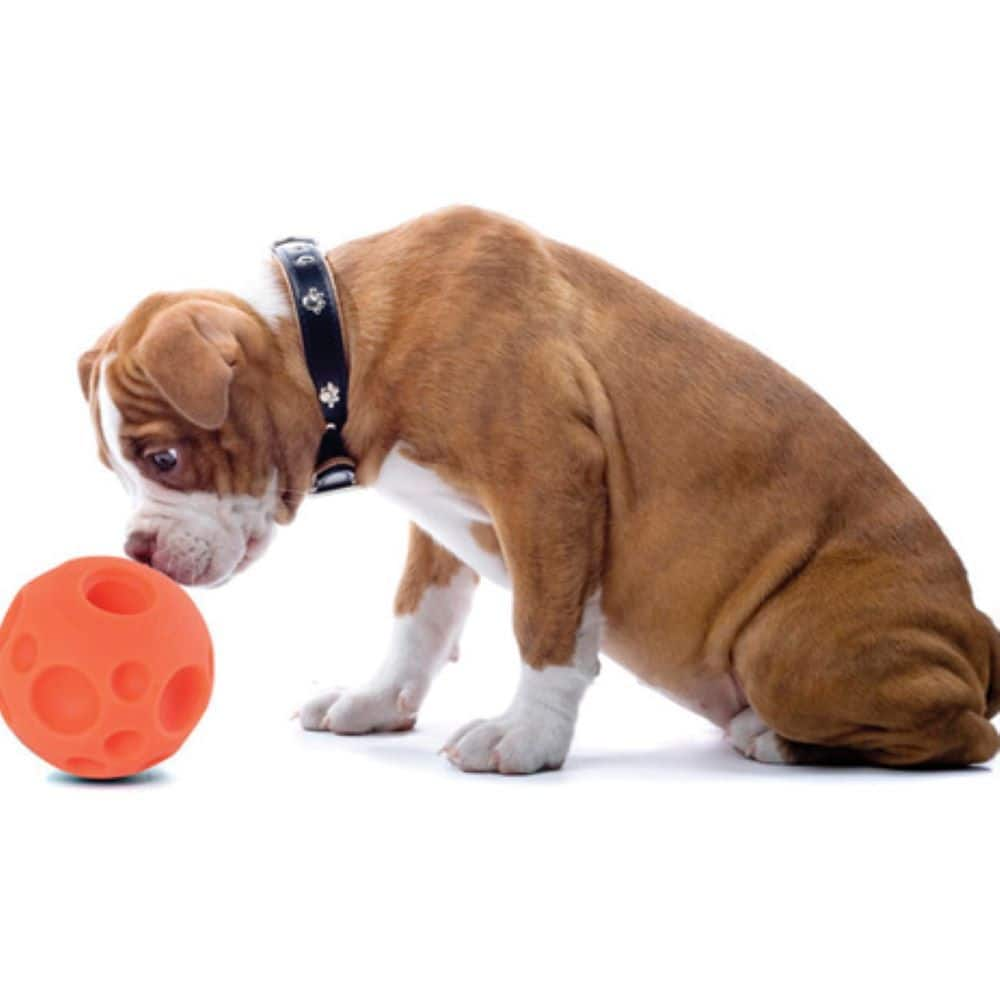 Omega best sale paw ball