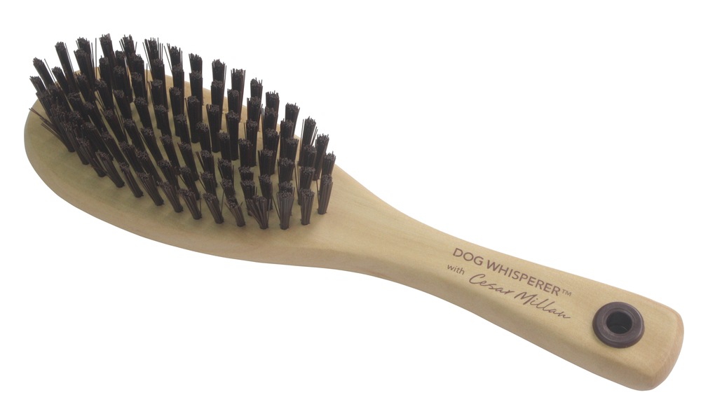 Cesar Millan Large Bristle Brush Canadian Tire
