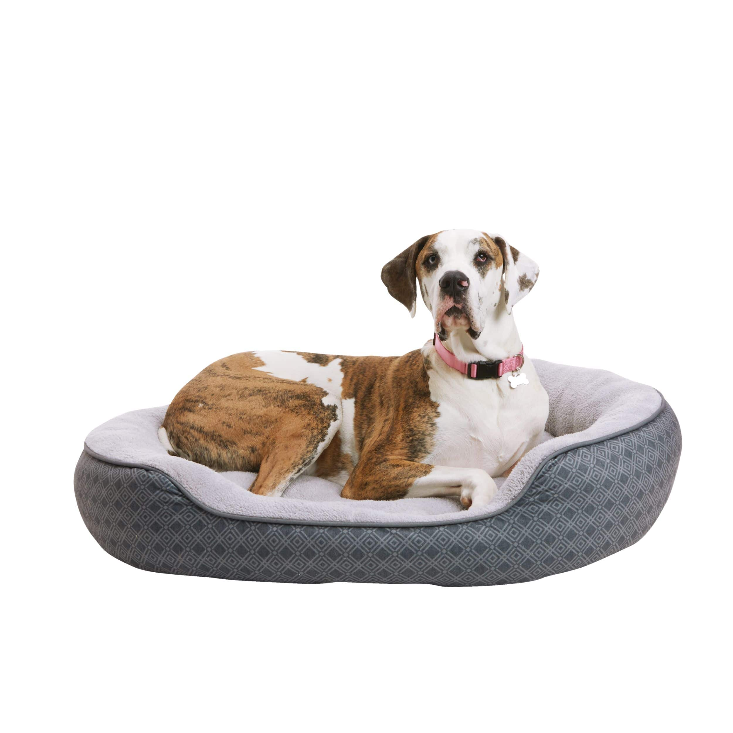 Petco Anti Slip Round Plush Dog Bed Washable 43 in x 37 in Grey Canadian Tire