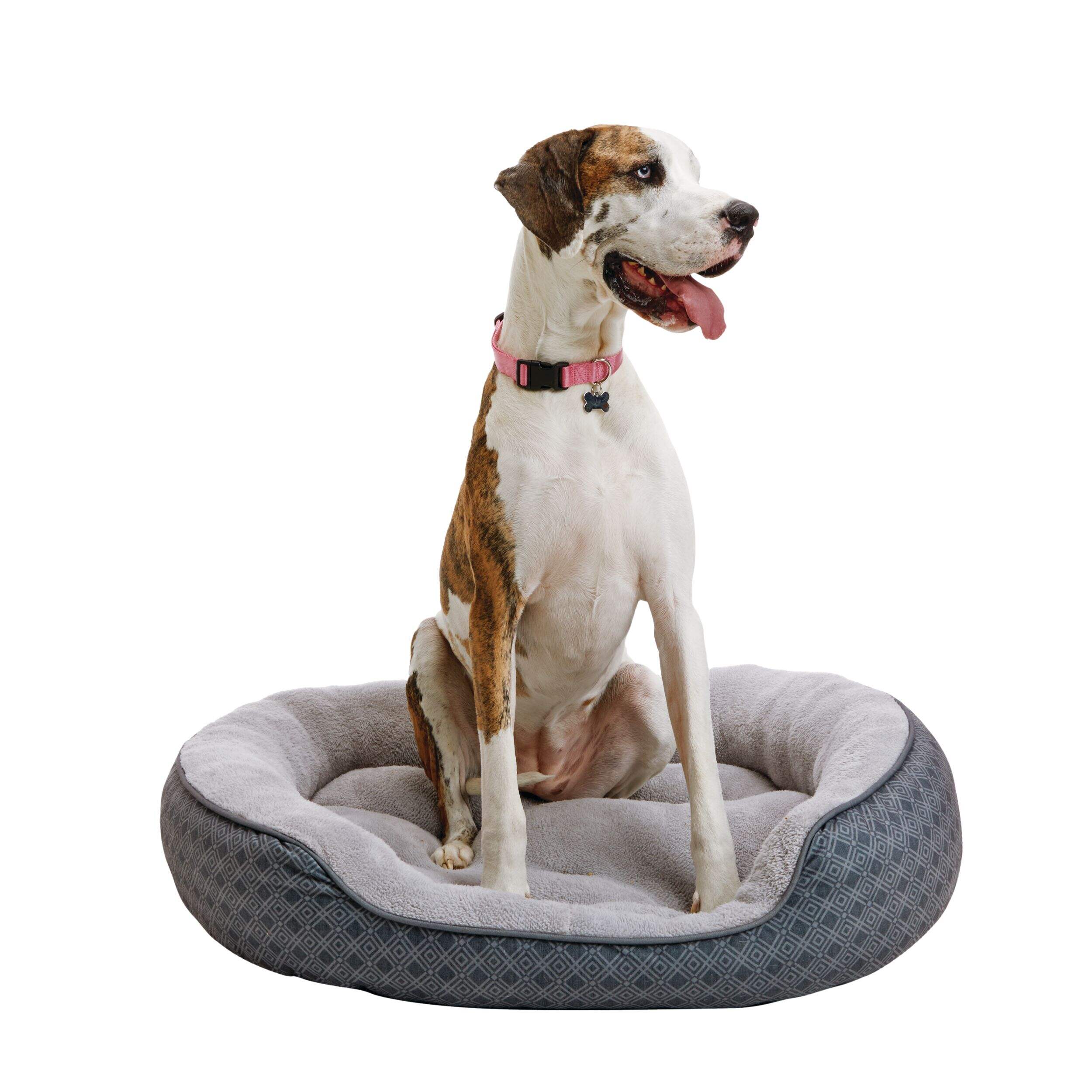 Petco Anti-Slip Round Plush Dog Bed, Washable, 43-in x 37-in, Grey Front_Elevated