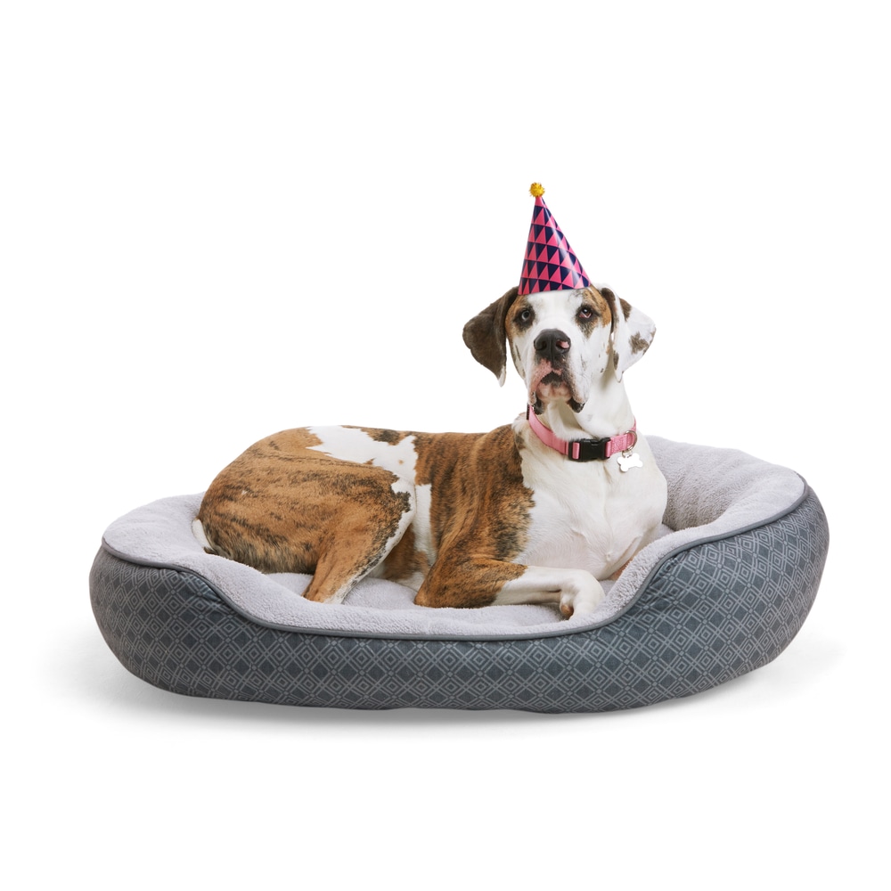 Petco AntiSlip Round Plush Dog Bed, Washable, 43in x 37in, Grey