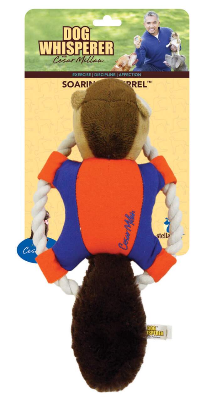 Cesar Millan Soaring Squirrel Toy