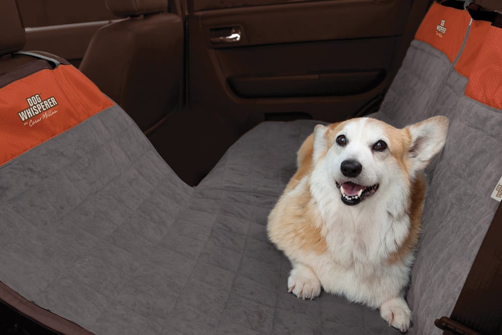 Cesar Millan Rear Seat Protector Brown Orange Canadian Tire - Dog Car Seat Cover Canada