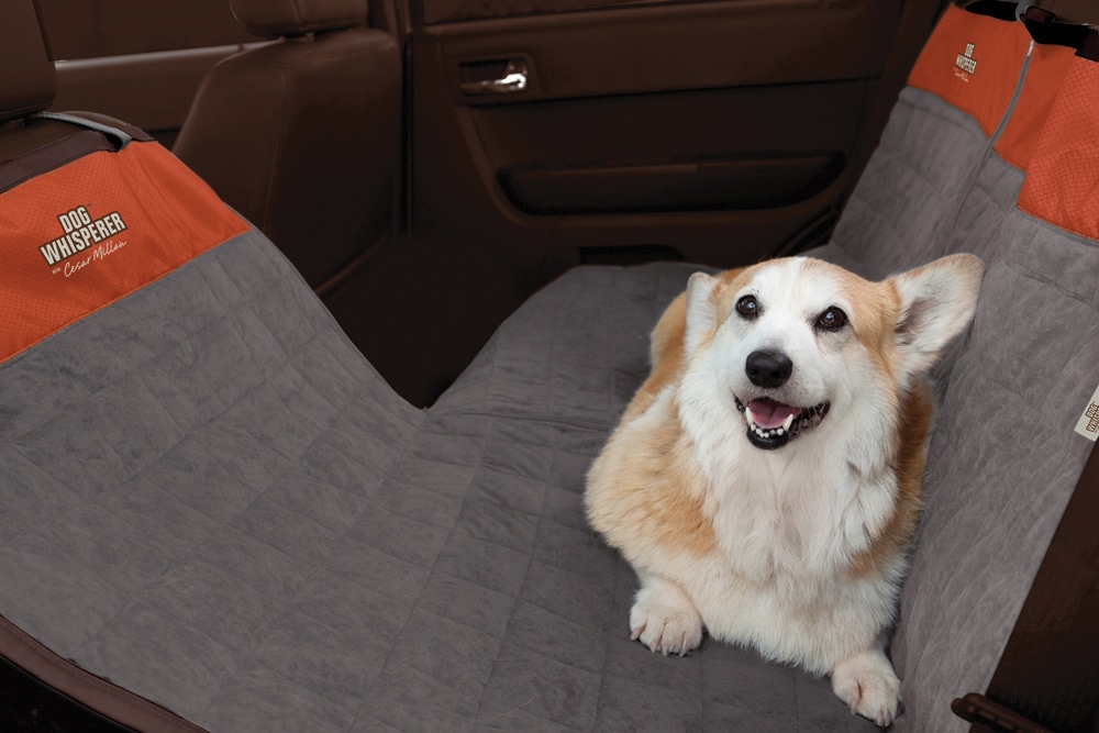 Cesar Millan Rear Seat Protector Brown Orange Canadian Tire - Dog Car Seat Cover Canada Cesar Millan Rear Seat Protector Brown Orange Canadian Tire - Dog Car Seat Cover Canada