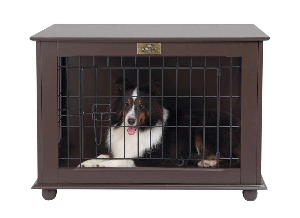 Cesar Millan Medium Dog Crate, 30 x 19 x 22in Canadian Tire