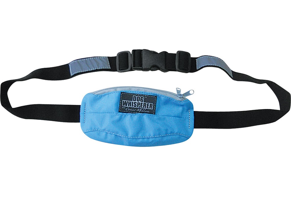 cesar millan dog walking belt