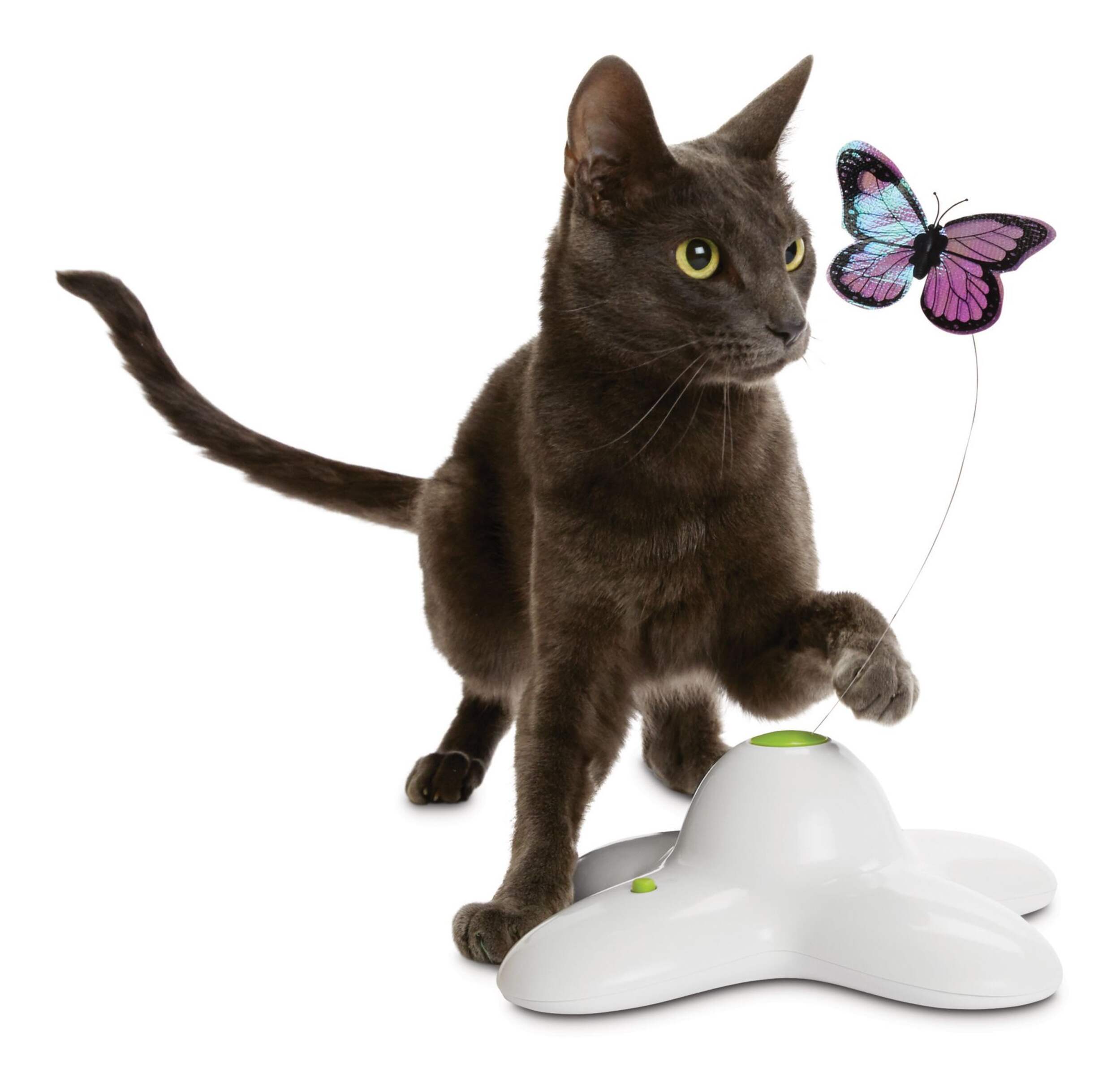 Petco Electric Flutter Butterfly Cat Toy Canadian Tire