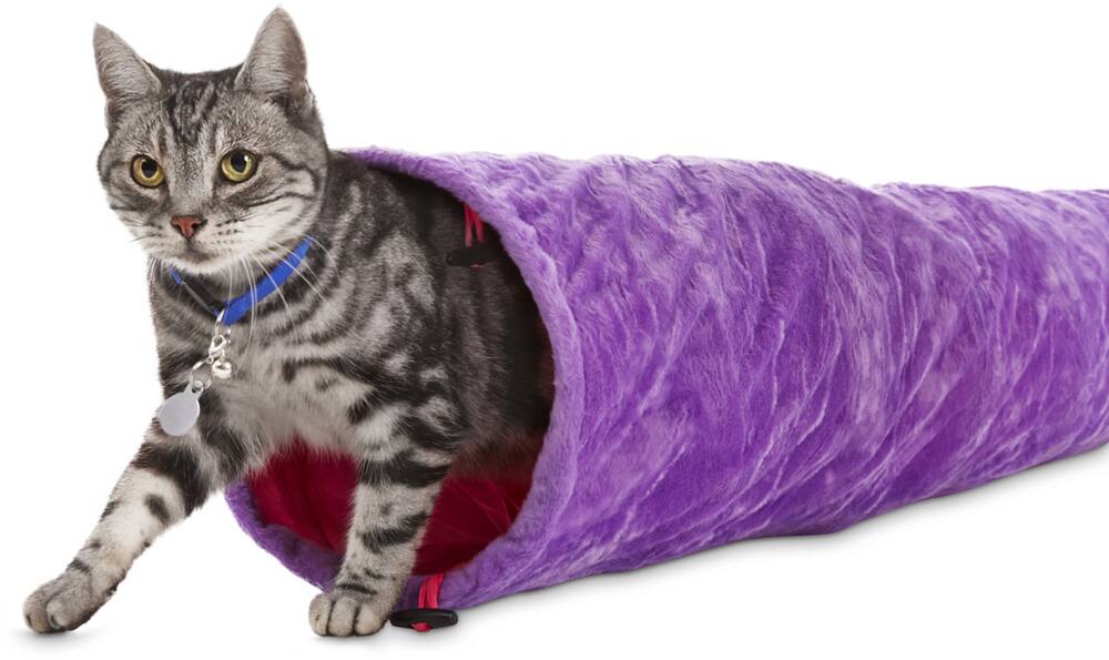 plush cat tunnel