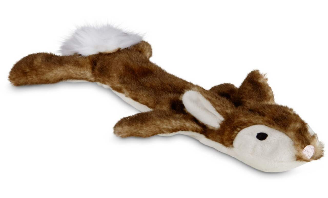 Pig dog store toy petco