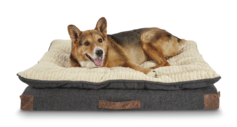 Petco Pillowtop Lounger Orthopedic Plush Dog Bed, Washable, 40in x 30