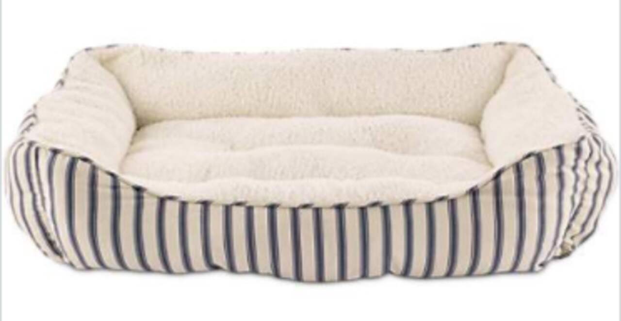 Harmony nester dog best sale bed