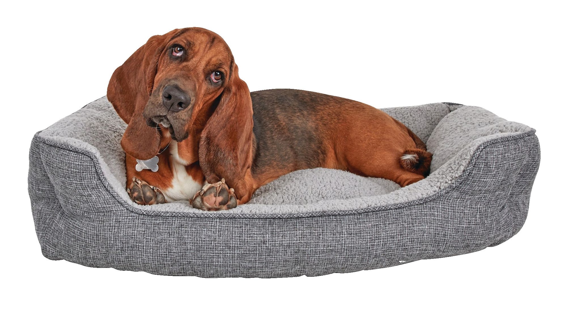 harmony memory foam couch dog bed