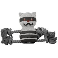 Petco Squeak Plush Raccoon Dog Toy, Medium Front_Flat