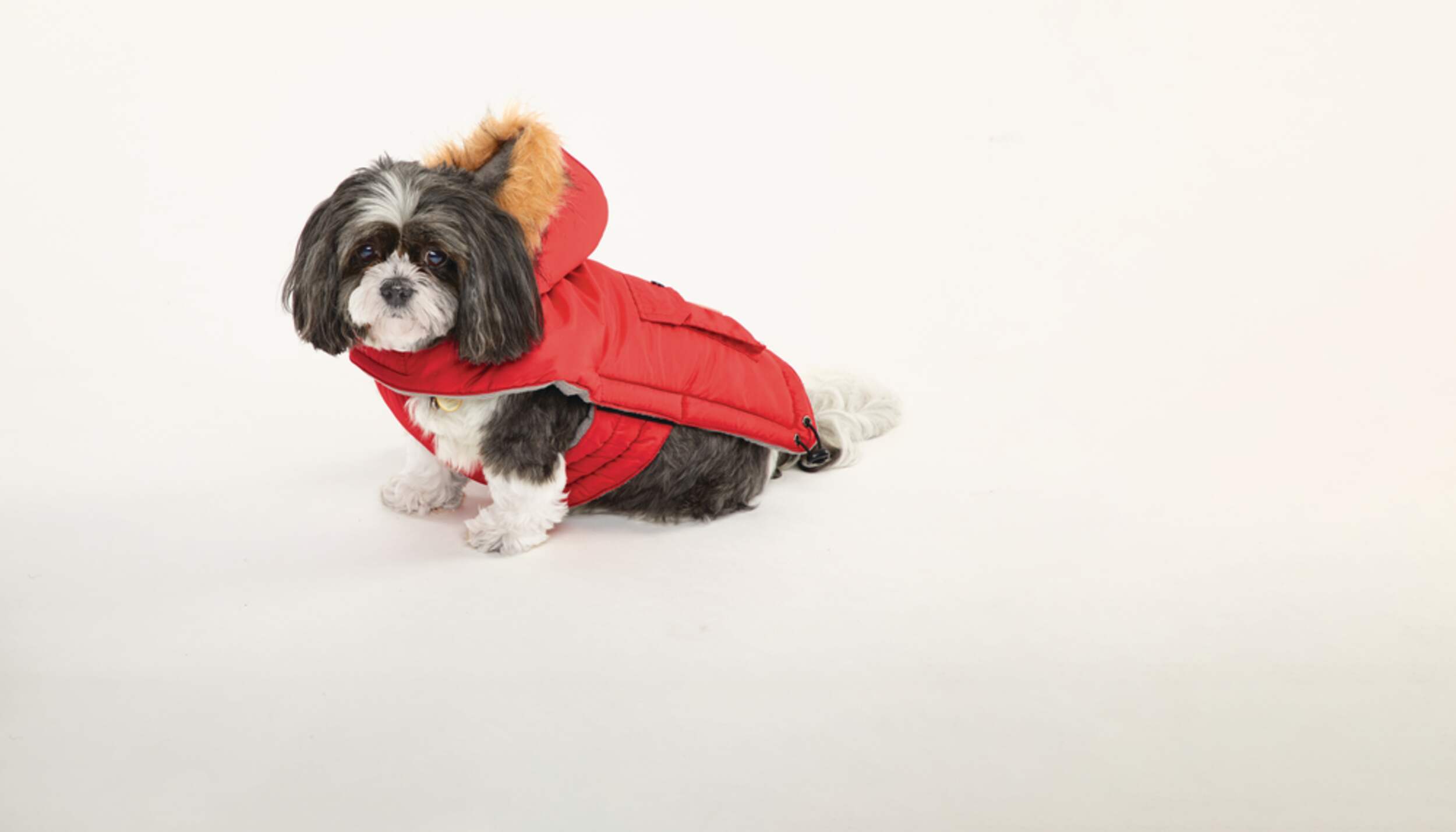 Petco Dog Coat Jacket Hooded, Assorted Sizes, Red Canadian Tire