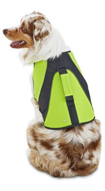 petco dog swim vest