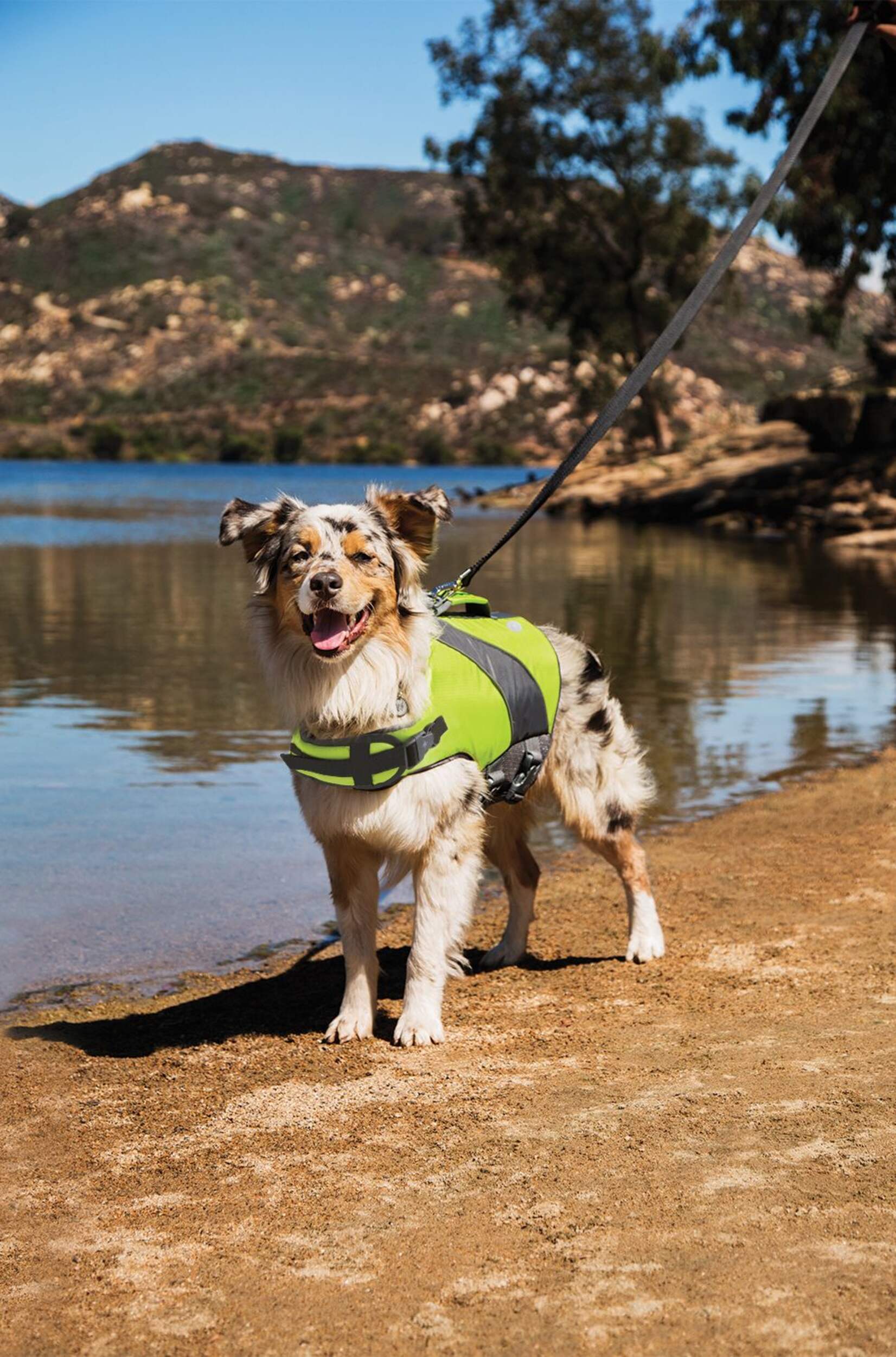 Petco Dog Life Jacket/Flotation Vest, Waterproof , Assorted Sizes