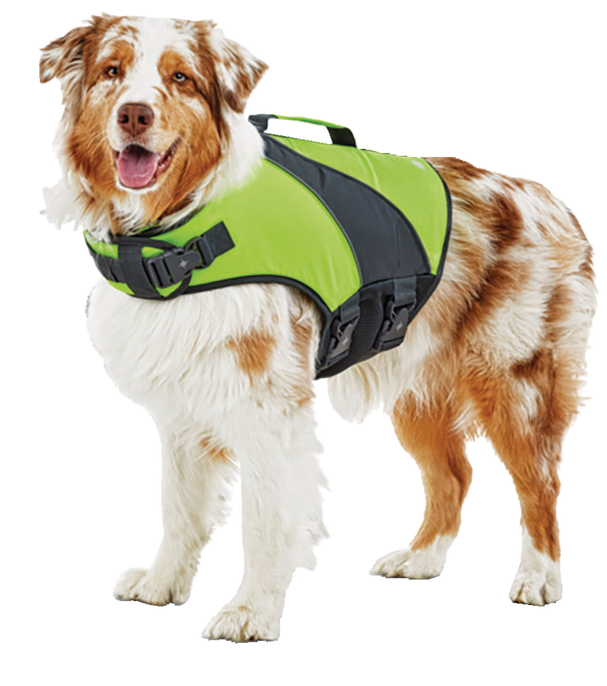 Petco Dog Life Jacket/Flotation Vest, Waterproof , Assorted Sizes ...